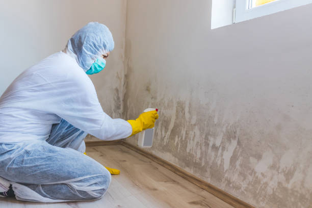 Commercial Mold Remediation assessment for commercial property in Sanford